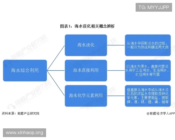 全面解析大发体育官网平台的优势与最新发展趋势